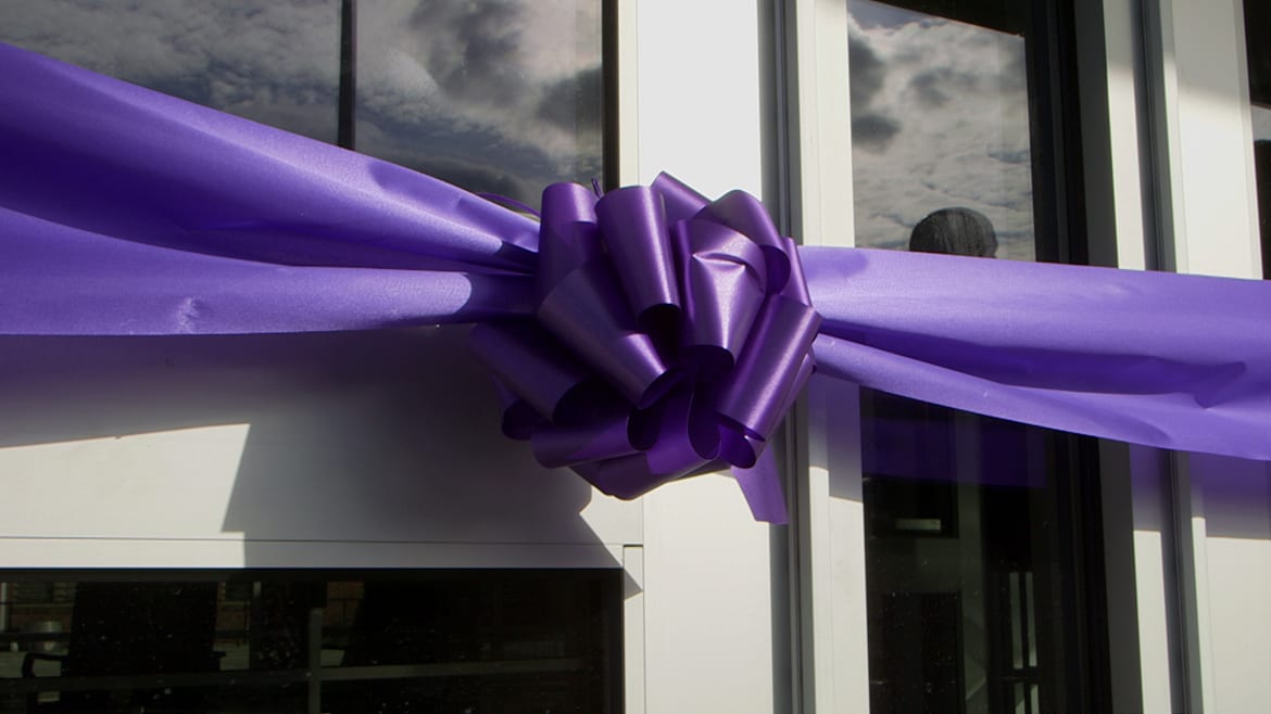 Close up of big purple ribbon on doors
