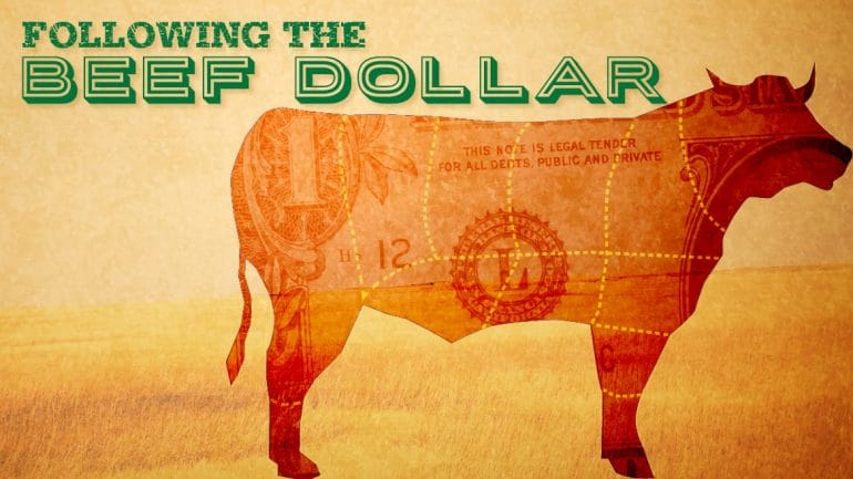 Following the Beef Dollar