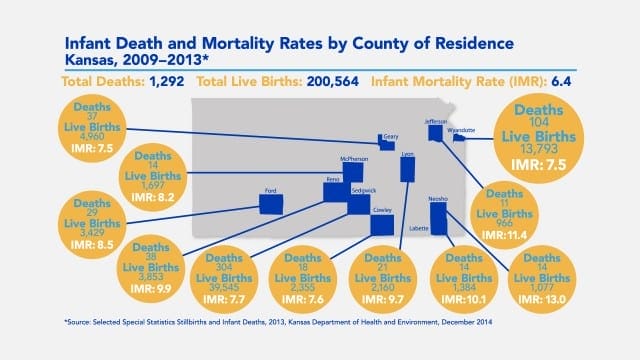 infantmortalitymap