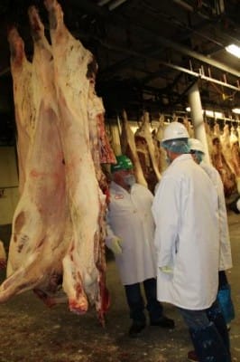 Workers at the Greeley JBS plant examine a "half beef," a carcass split in two, before it's fully broken down. (Photo by: Stephanie Paige Ogburn | KUNC)