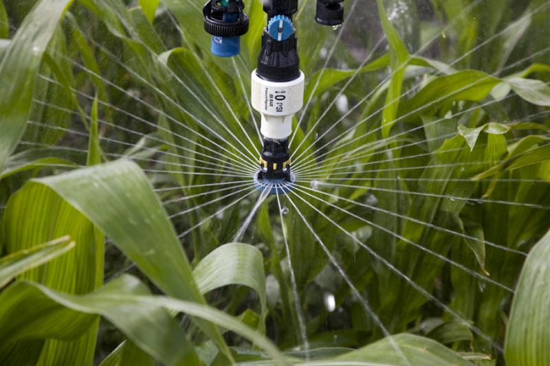 A close-up of an irrigation sprinkler.