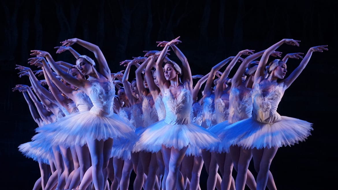 The ballerina flock at