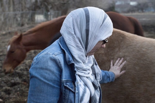 A woman in a headscarf with a horse