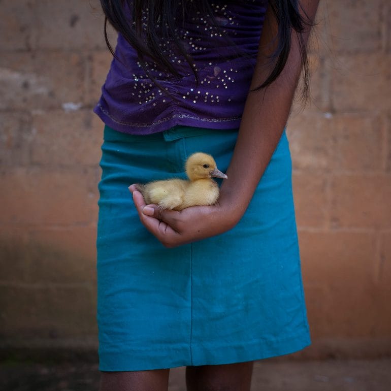 a girl holding a duck