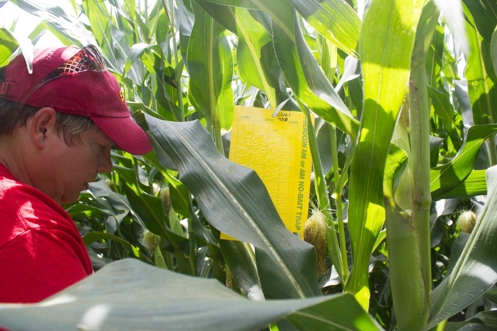 A woman crouches in a field.