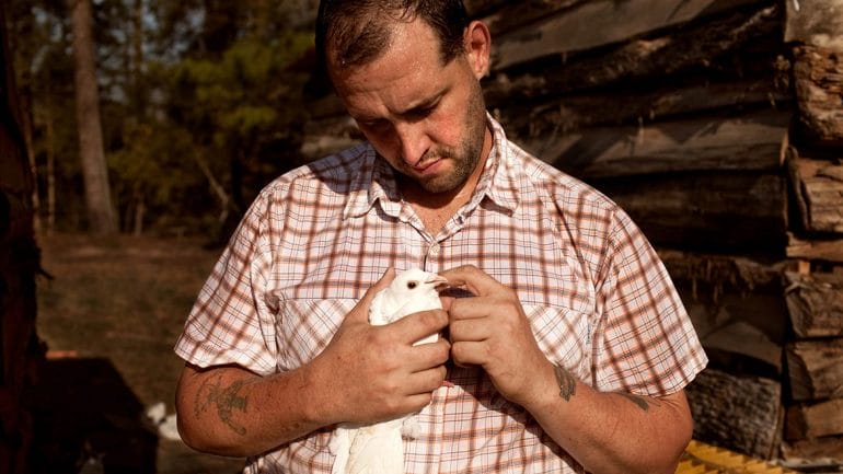 U.S. Army veteran Alex Sutton cradles a rock dove show pigeon