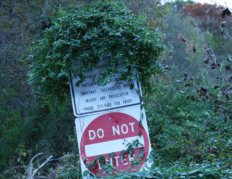 Overgrown no trespassing sign at Quindaro site.