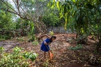 Gelmy, one of the five kids in Maria de los Angeles Tun Burgosa's family, rakes the backyard of their home in Yucatan, Mexico. Adriana Zehbrauskas for NPR