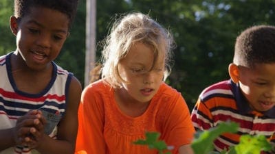 Ride the Wave: Preparation for the Real World Should Include a Sense of Uncertainty