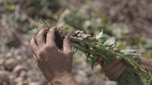 Climate Change’s Serious Effects On Kansas Citians Disproportionately Affect The Poor