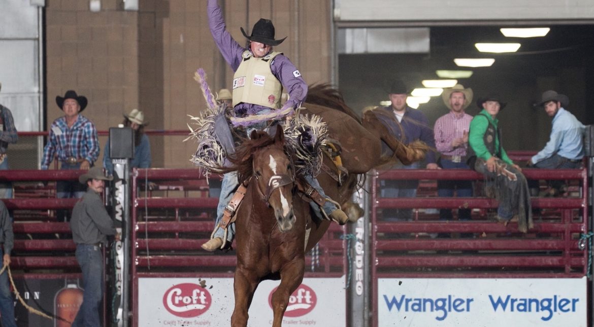 A rider holds on to a bucking bronco.