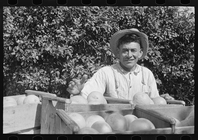 Mexican farmhand smiling with box of grapefruits