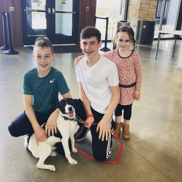 Three children pose with a newly adopted dog.