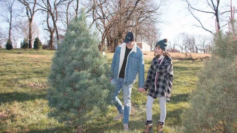 Leah and Nate Fry look for a 7-foot Christmas tree.