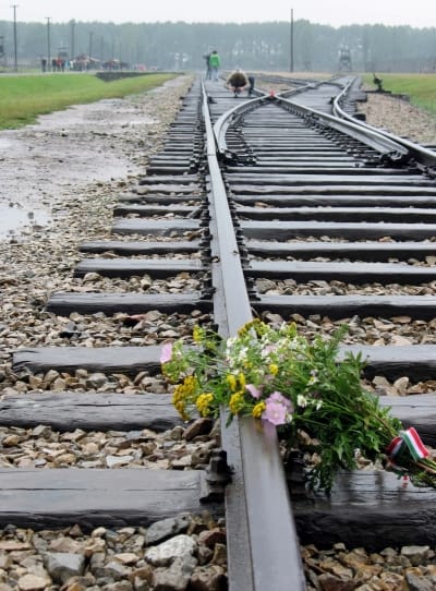 Memorial flowers placed on the railroad tracks that brought prisoners to the Nazis’ Auschwitz-Birkenau death camp in Poland.