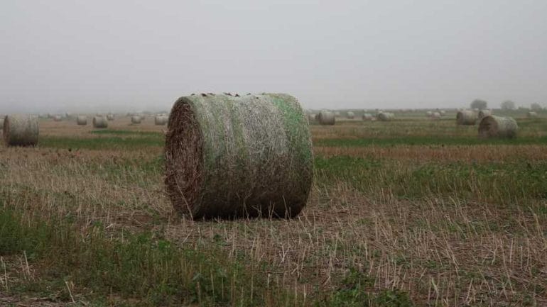 A hemp bale sits ready to be processed and separated into fiber and hurd.