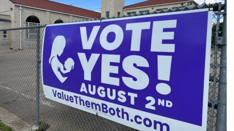 Value Them Both campaign sign