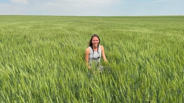 Commodity analyst Rejeana Gvillo sits in a field that weathered the drought well during the wheat tour's stop near Morland in northwest Kansas.