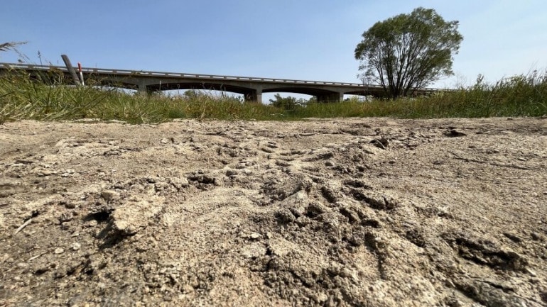 Tire tracks from four-wheelers crisscross the Smoky Hill River's dry bed just west of the US-183 bridge in Ellis County.