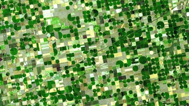 This NASA satellite image from 2001 shows a grid of circular crop fields in Finney County. They owe their shape and green color to the center pivot irrigation systems that shower them with water pumped from the Ogallala aquifer.