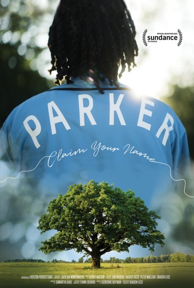 Promotional poster for "Parker."