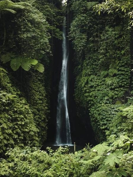 Waterfall in Bali, Indonesia.