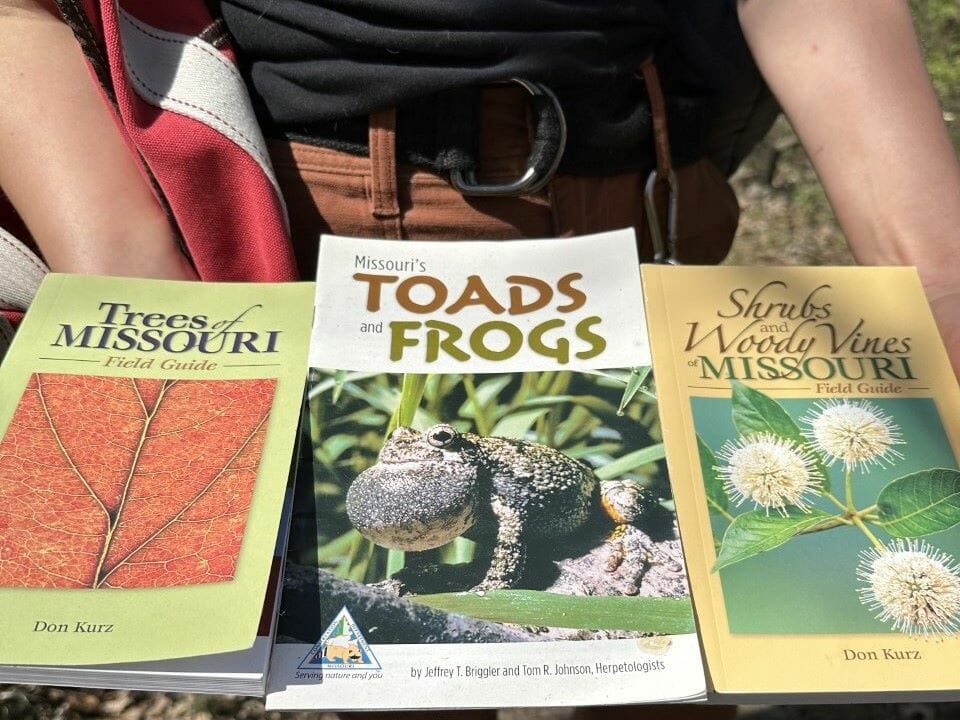 Raney Yelenich shares some of her favorite guides to help identify unfamiliar wild foods.