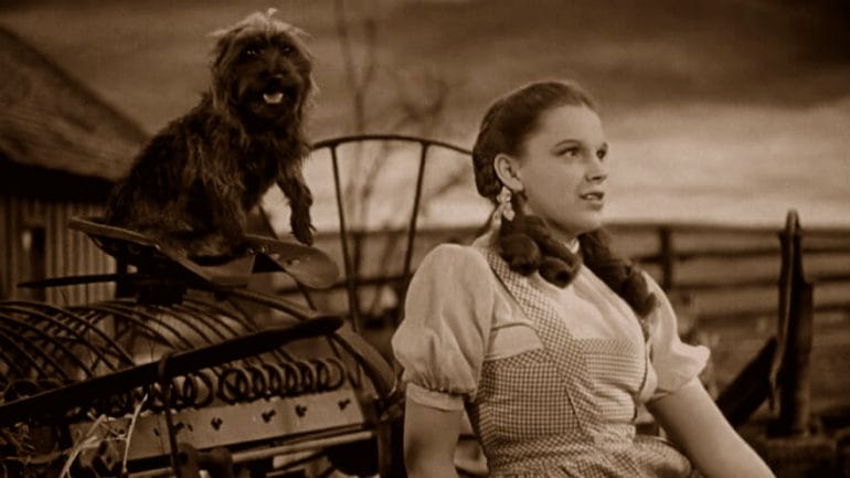 This shot from the 1939 movie shows the sepia tones that colored scenes of Dorothy's home in Kansas with brown, dusty nostalgia.