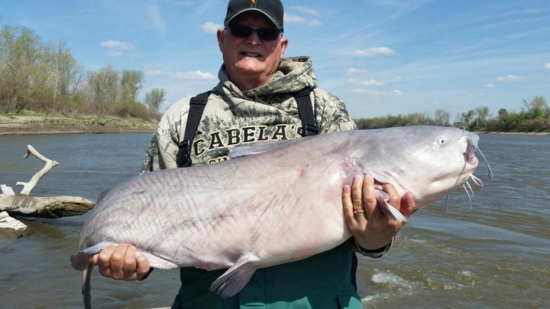 Angler John Jamison holds a 68-pound fish he caught in the Kansas River near downtown.