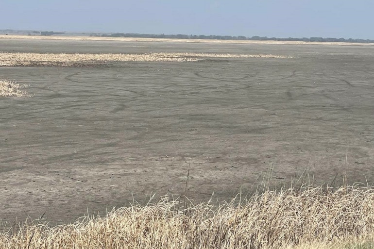 A dried-out expanse of the Cheyenne Bottoms wetlands area in central Kansas.