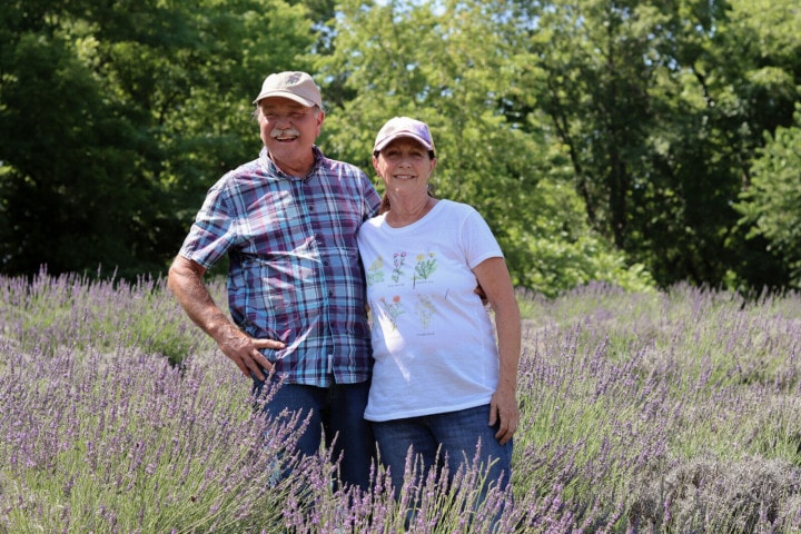An older couple smiles while embracing in a lavender field.