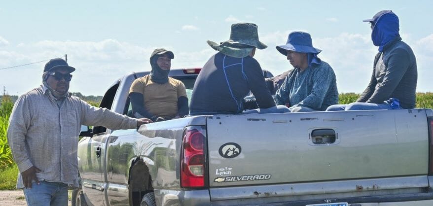 Juan Peña (left) with other farmworkers take a quick break in a field in southeastern Iowa