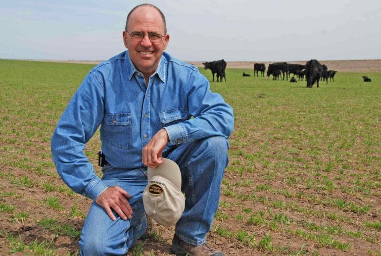 A man in a denim shirt and jeans kneels in a pasture. Behind him is a group of black cows.