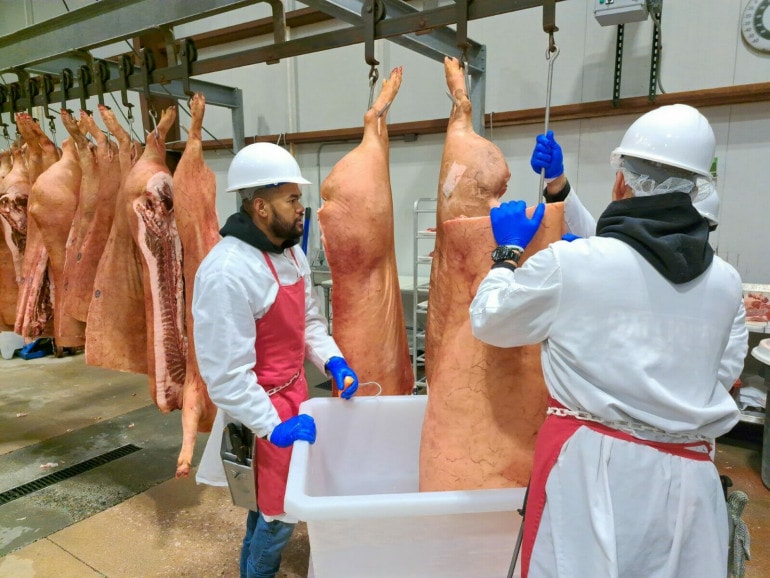 Two employees in white lab jackets and red aprons hang a hog carcass up in production room.
