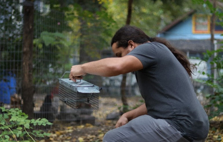 A man in gray with long dark hair squats near the ground, holding a rectangular metal box with an open door. Behind him are chickens in a fence.