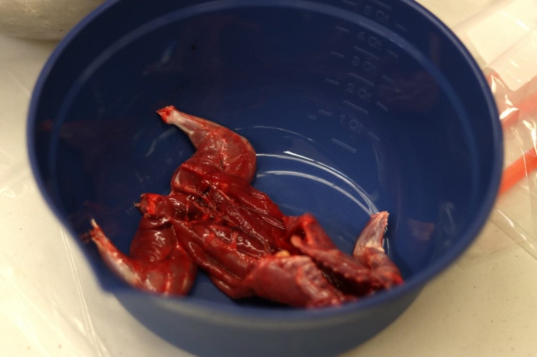 A skinned and butterflied squirrel lays in a bowl. The meat is fairly dark and bloody.