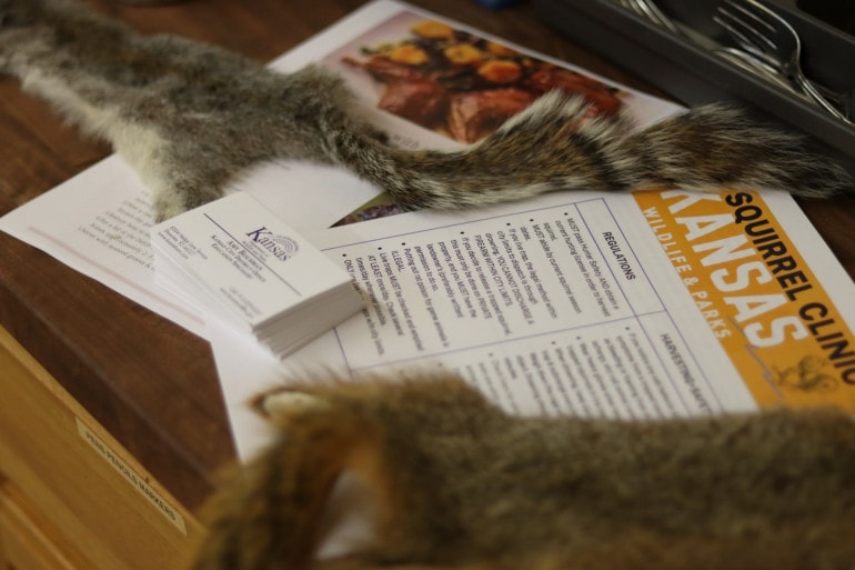 Two squirrel pelts lie on hand outs from the squirrel clinic with best practices, a recipe and business card.