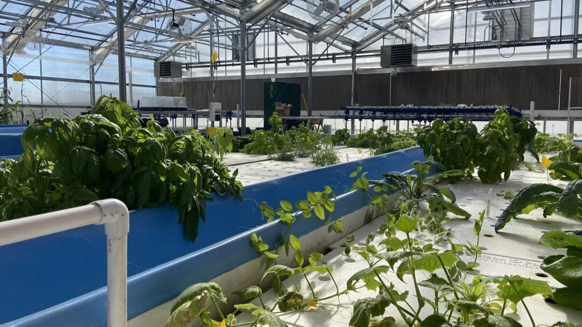 Farming indoors offers a way to produce local food with less space and inputs, while also decreasing emissions from transporting products elsewhere.