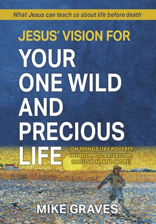 Book cover of "Jesus' Vision for Your One Wild and Precious Life."