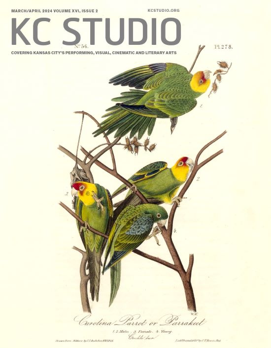 Rare parrots on the cover of KC Studio magazine.