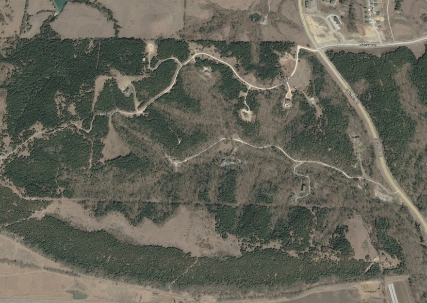 Aerial photo of red cedar forests.