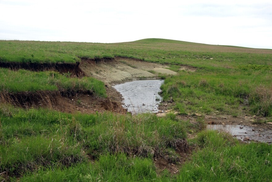 To stop prairie creeks like this one on the Mushrush ranch from vanishing, Chase County ranchers are fighting to keep trees and shrubs away.