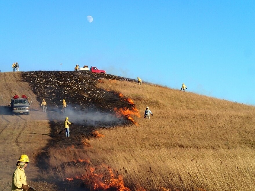 If controlled fires, such as this one on grassland managed by Kansas State University, are conducted every few years, they can keep trees and woody plants out of prairies.