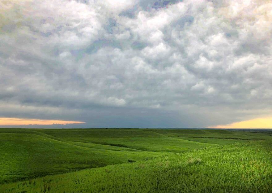 Intact grasslands, such as this one near Manhattan where Kansas State University scientists conduct research, are disappearing.