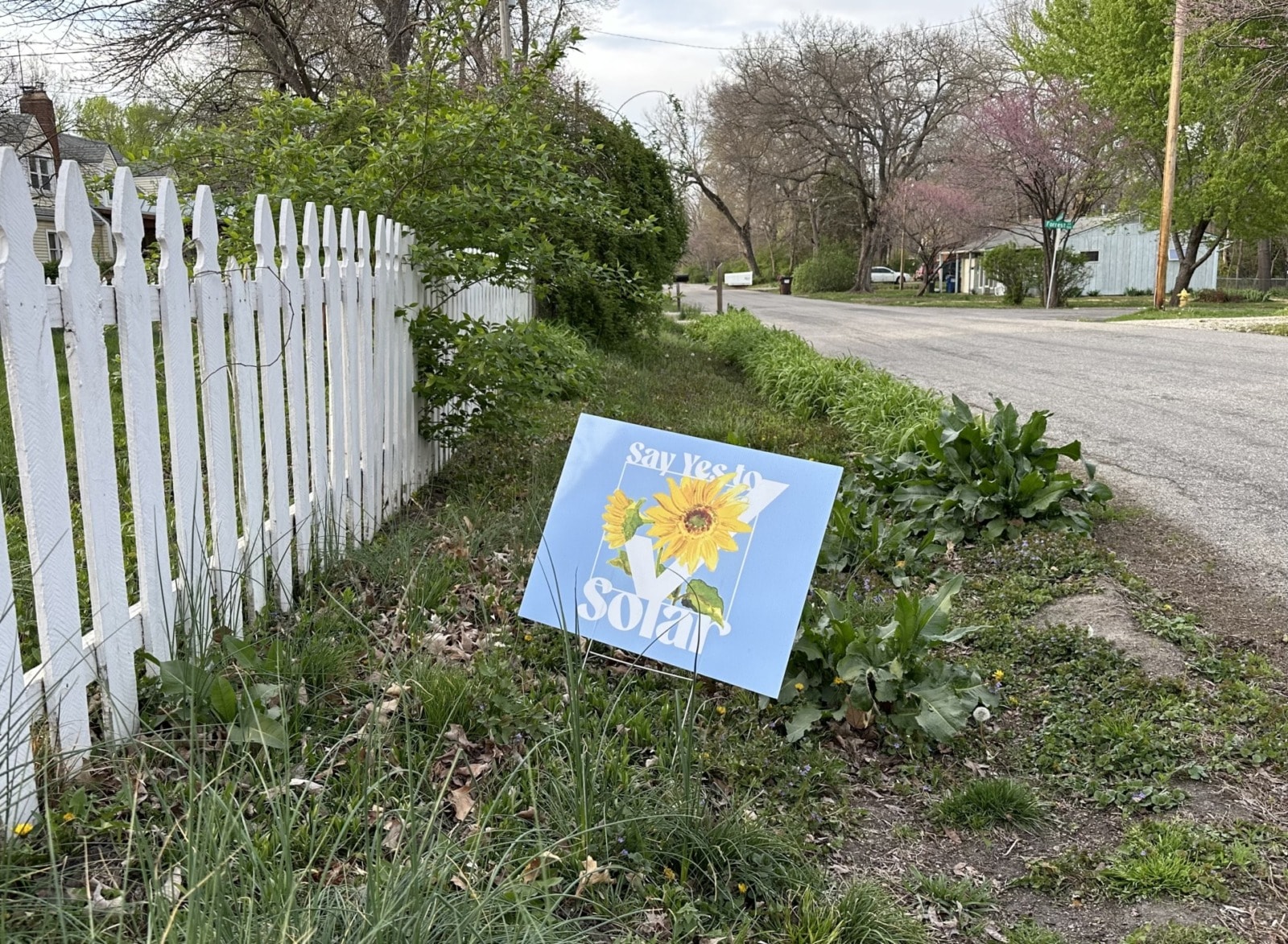 a yard sign on a residential street has a sunflower and a check mark. it reads "Say yes to solar" 