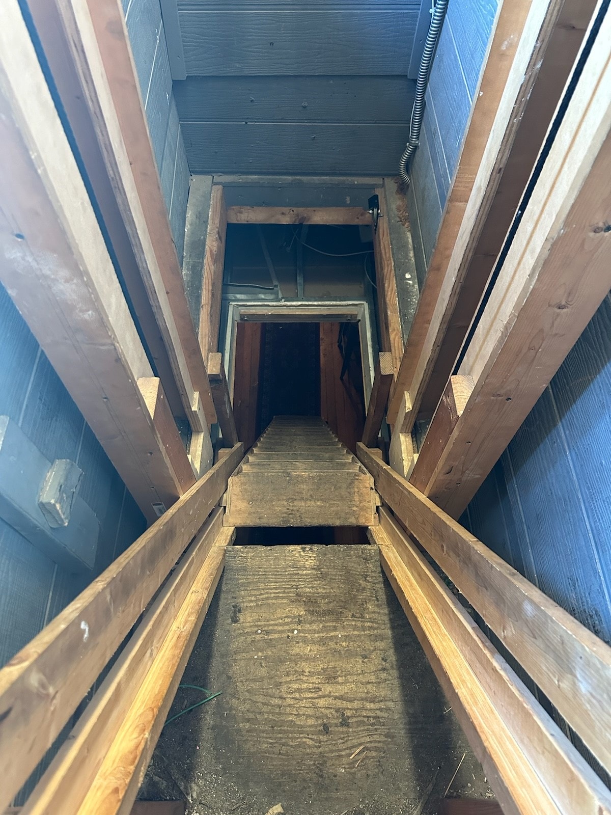 David Friesen carried cardboard boxes of hives up this narrow wooden pulldown ladder at Tom's Town.