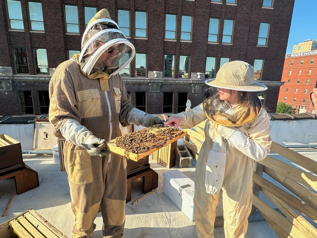 A Tom's Town employee samples honey from the hive.