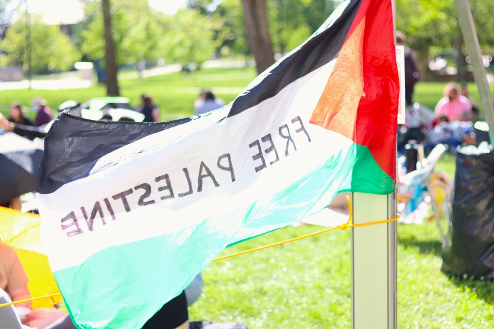 A Palestinian flag is tied to a pole and waves in the wind in front of a group of students sitting on the grass. the flag reads "free Palestine"