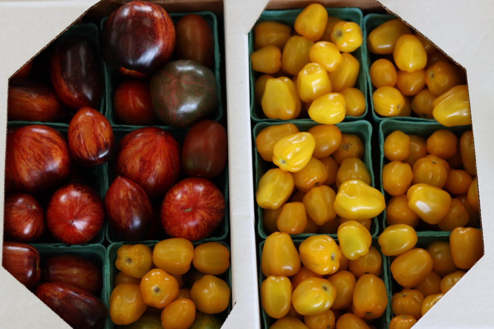 Striated, medium sized tomatoes and smaller, yellow tomatoes sit in small quart sized boxes.