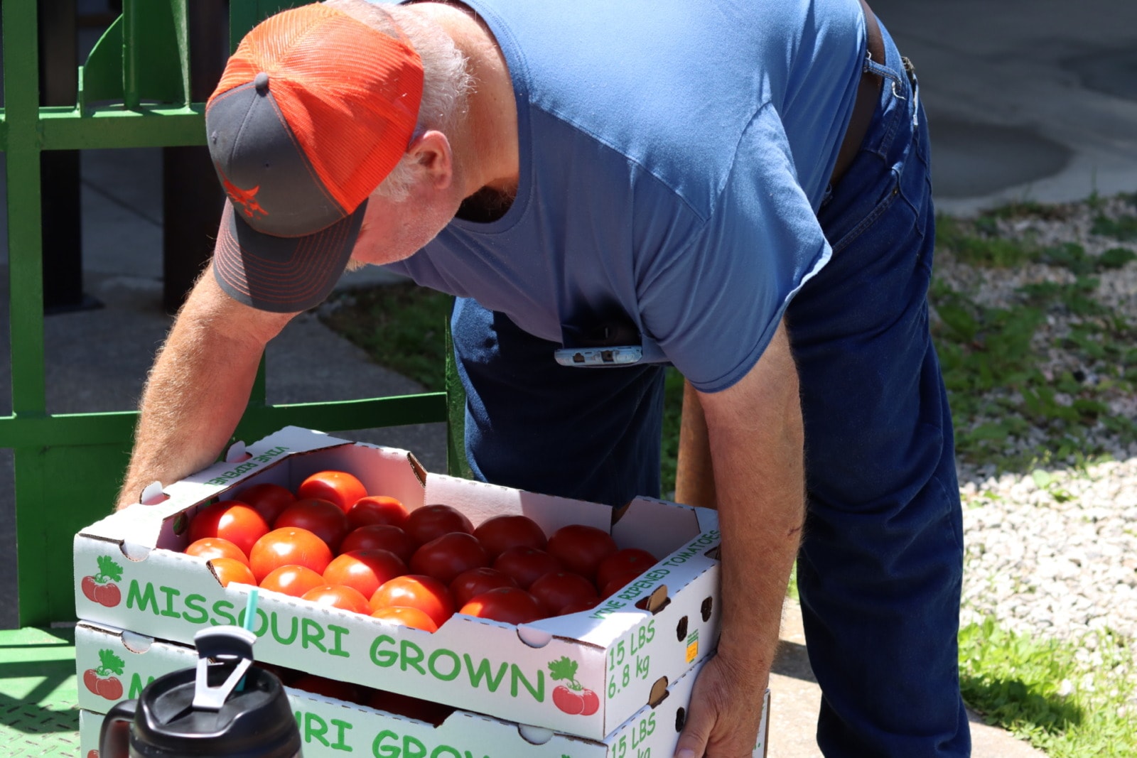 A man in a blue shirt and orange ball cap picks up three boxes of fat, red tomatoes. The boxes read "Missouri grown"